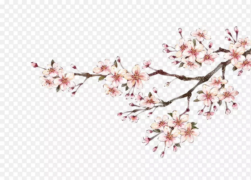 �滨-������