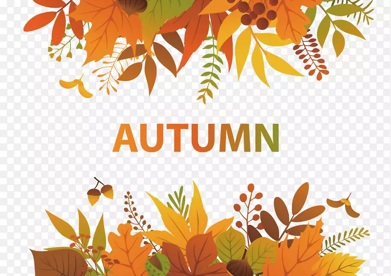 ʸ����ɫ��Ҷ�߿�-������