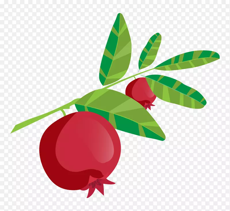 ��ͨ�ֻ�ˮ��װ�κ������-������