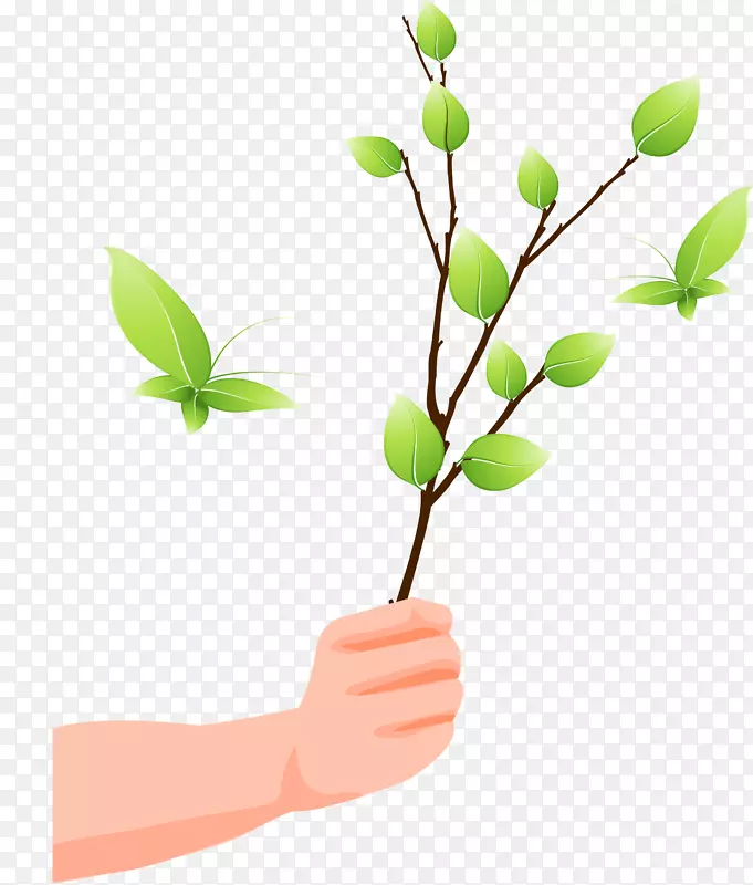 ʸ����ͼ����һ����֦����-������