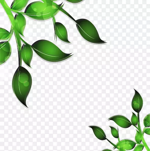 ����������֦Ҷ-������