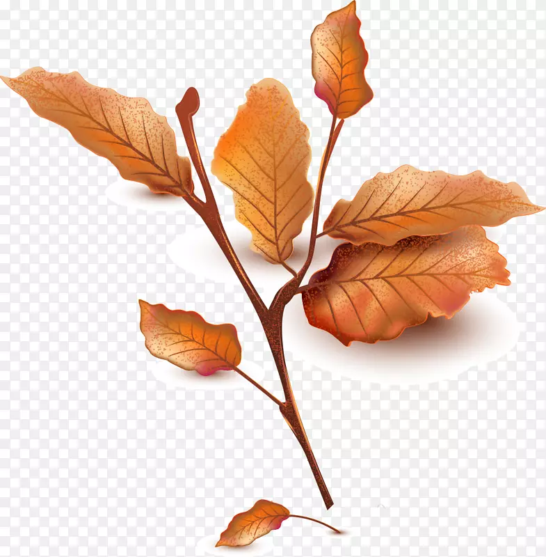 ����ɿݵ���֦��֦Ҷ-������