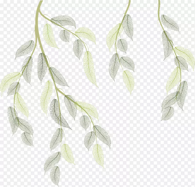 ʸ���ֻ��ͼ������֦֦Ҷ-������