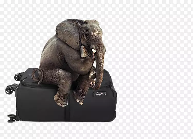 ����ʵ�ð����˰�-������