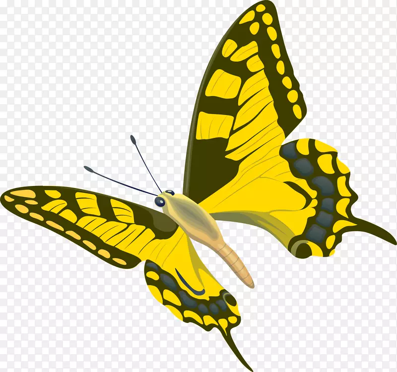 ��ͨ�ɰ�С����װ����ƶ���ͷ��-������