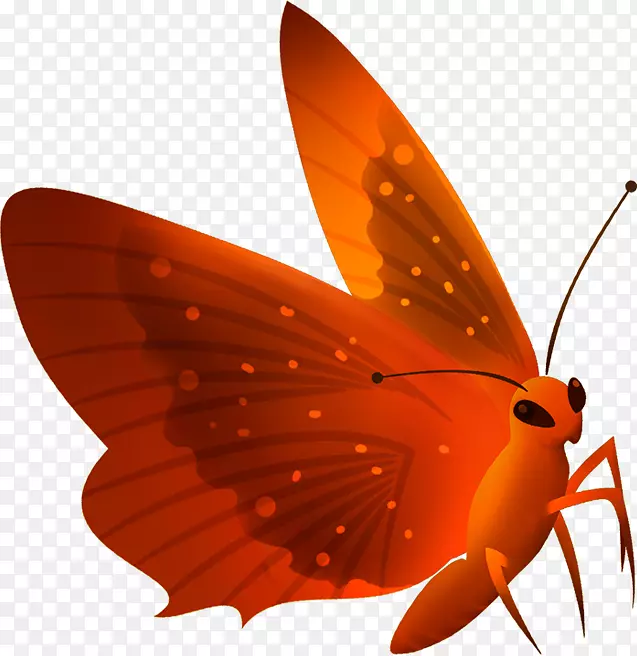 ��ͨ�ɰ�С����װ����ƶ���ͷ��-������