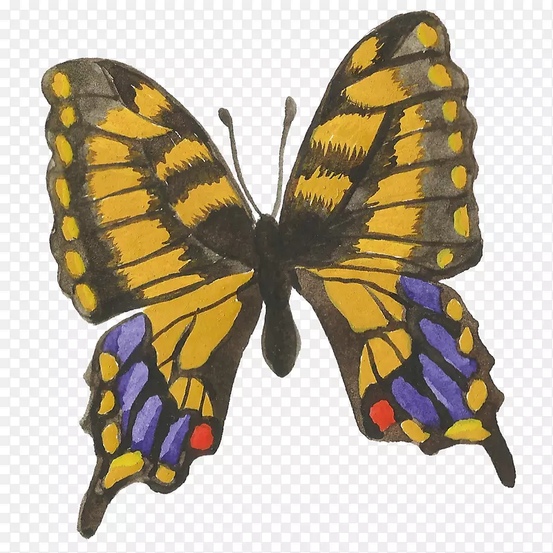 ��ͨ�ɰ�С����װ����ƶ���ͷ��-������