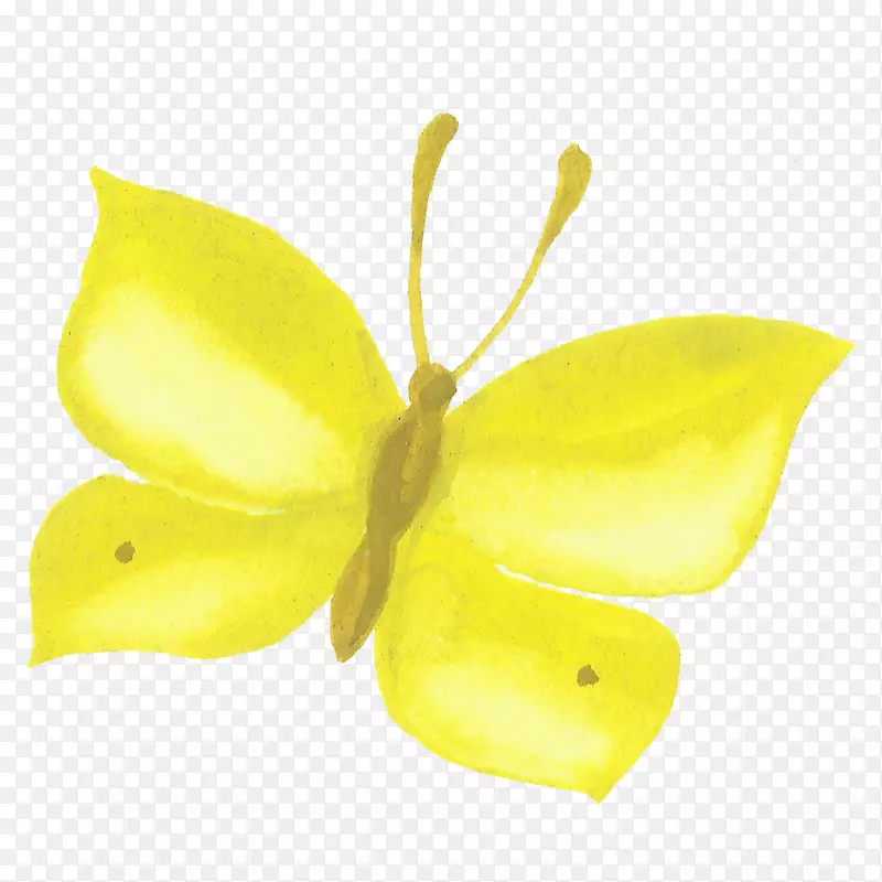 ��ͨ�ɰ�С����װ����ƶ���ͷ��-������