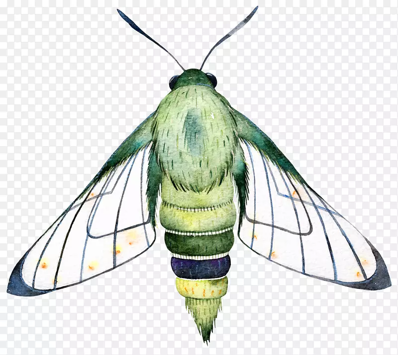 ��ͨ�ɰ�С����װ����ƶ���ͷ��-������