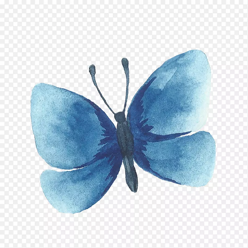 ��ͨ�ɰ�С����װ����ƶ���ͷ��-������