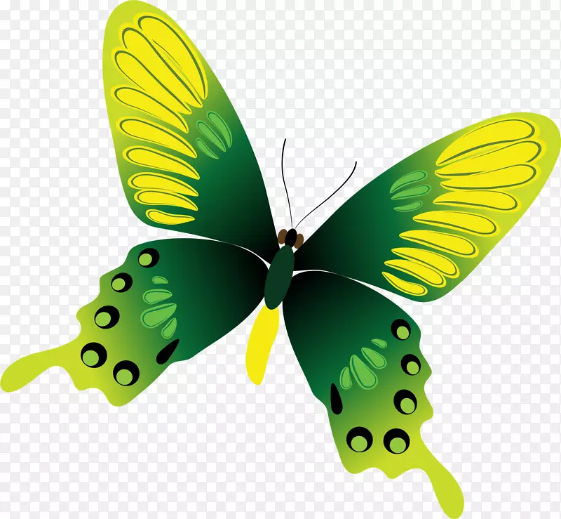 ��ͨ�ɰ�С����װ����ƶ���ͷ��-������