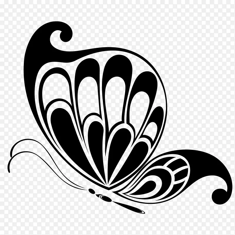 ��ͨ�ɰ�С����װ����ƶ���ͷ��-������