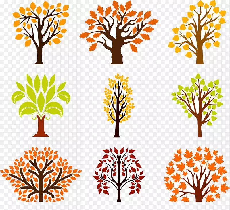 �Ųʾ�����ͼƬ��������ز�-������