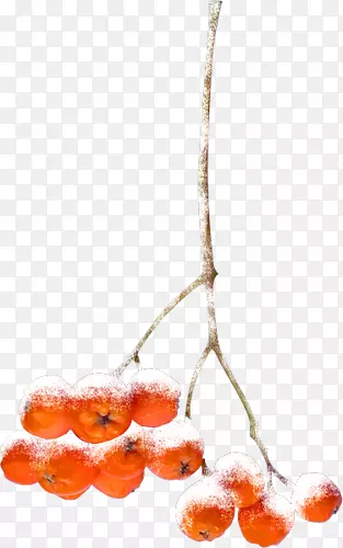 ɽ��ز����-������