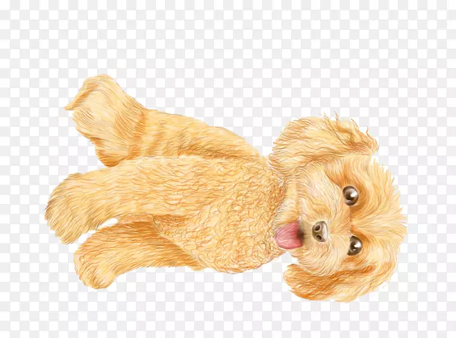 �ɰ���̩�Ϲ�-������