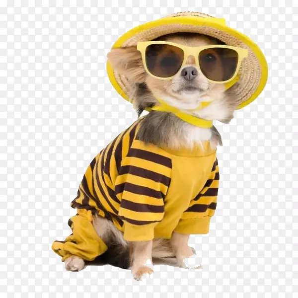 �����۾���̩�Ϲ�-������