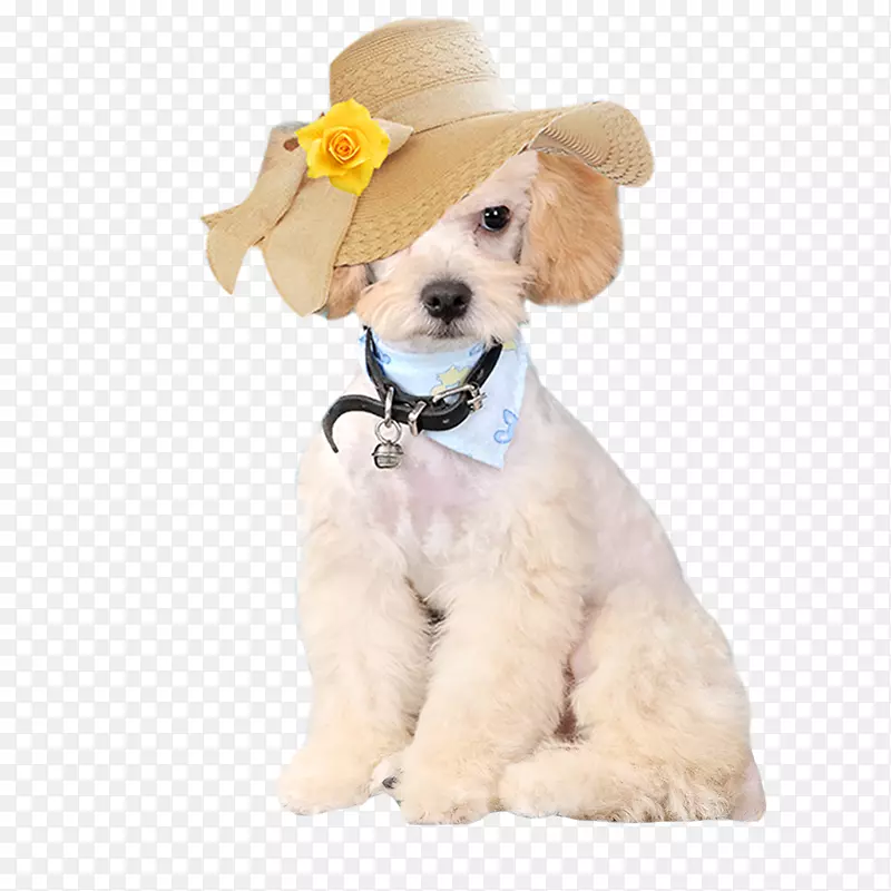 ̩�ϴ�ñ��-������