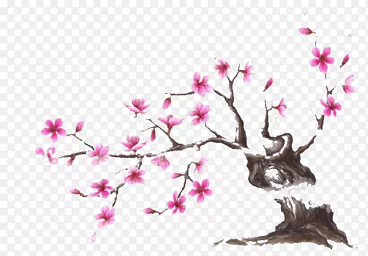 ʢ�����һ���-������