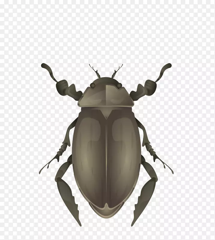 ʸ����ɫ��������-������