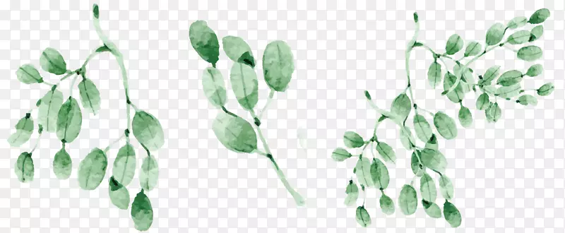 ����ˮī��֦��Ҷ�ϼ�-������