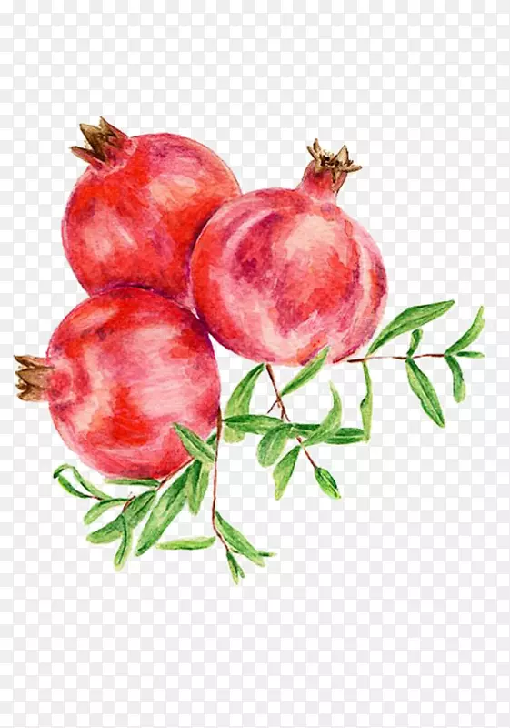 ʯ��ˮ����ʳƷ����㣬�ǹ���ʯ��-������