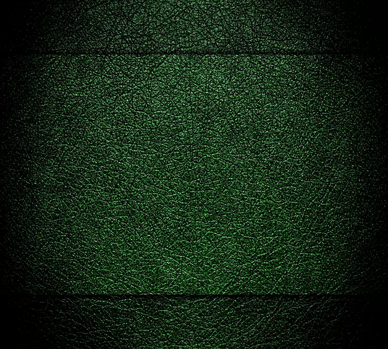 ��ɫƤ�ﱳ��-������