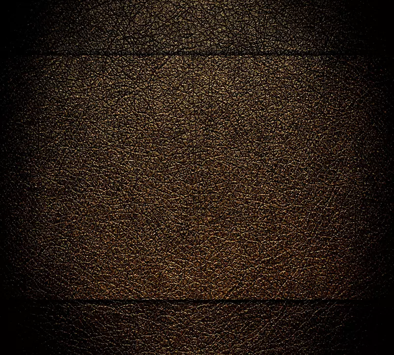 ��ɫƤ�ʱ���-������