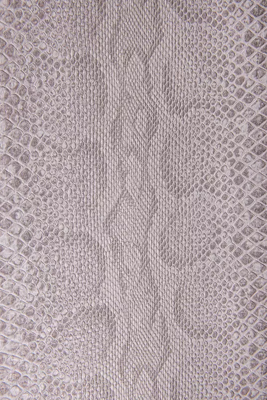 ��Ƥ����-������