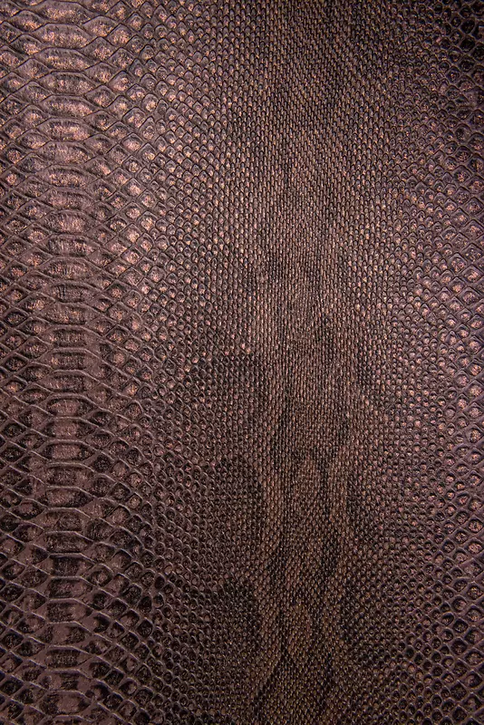 Ƥ����������-������