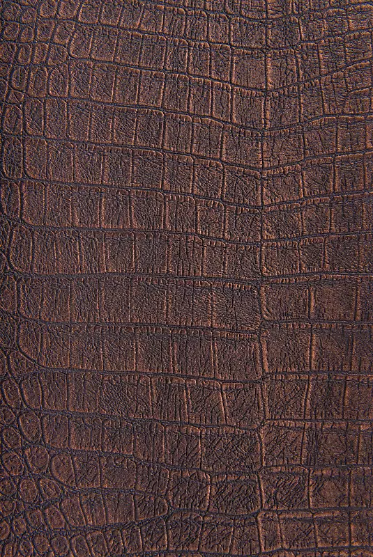 Ƥ�ﱳ������-������