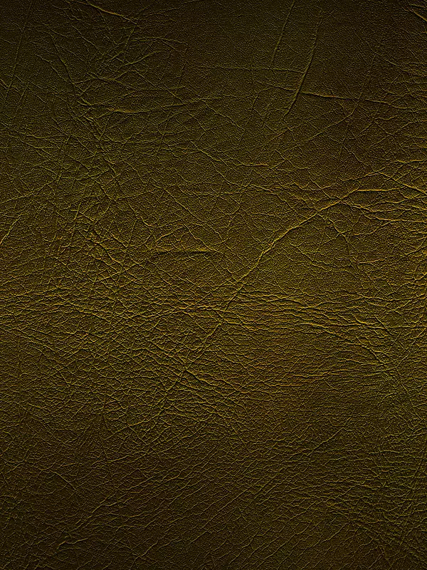 Ƥ����������ͼ-������