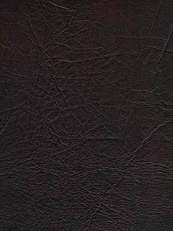 Ƥ����ʱ���-������