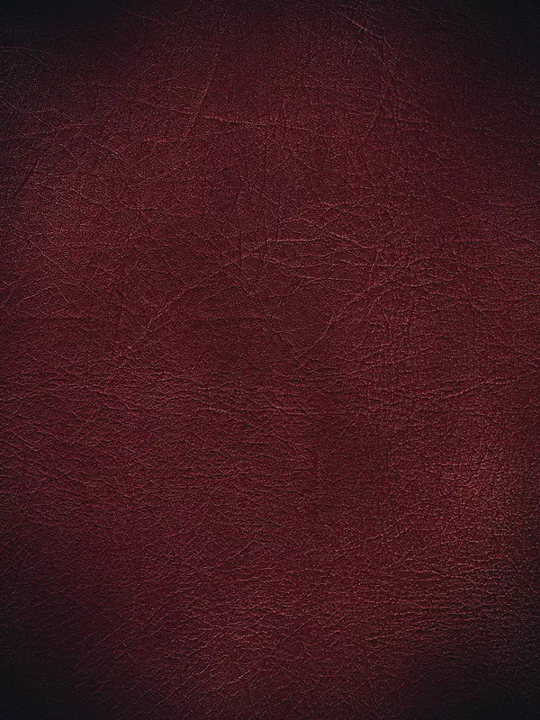 ���ɫƤ�ﱳ��-������