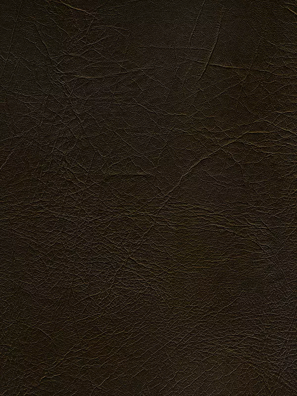 Ƥ����������-������