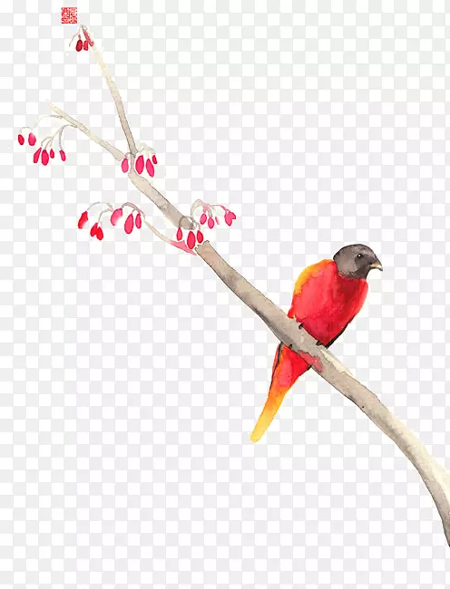 ��ɫС��-������