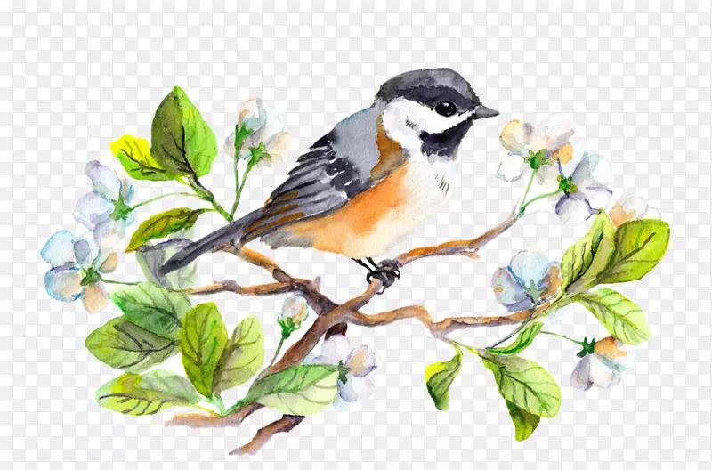 ˮ�ʻ��й�����-������