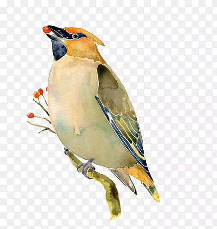 С��-������