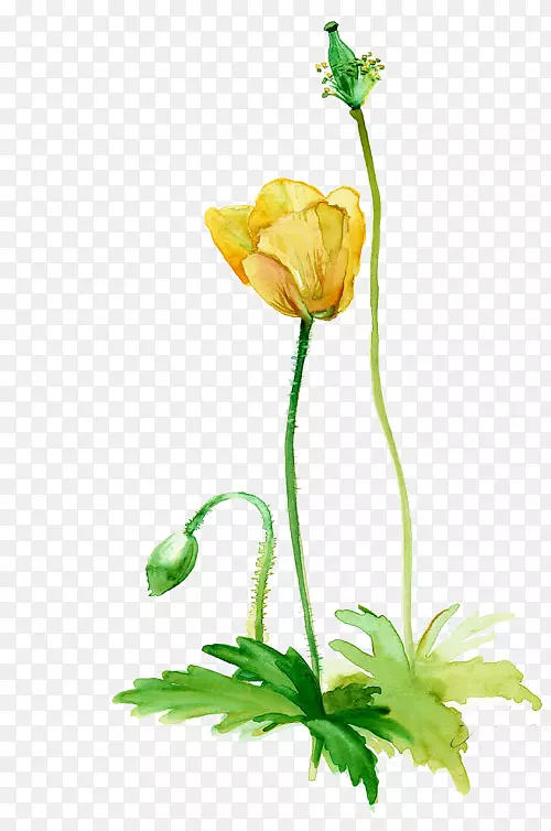 ������-������