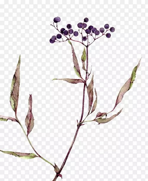 С����-������