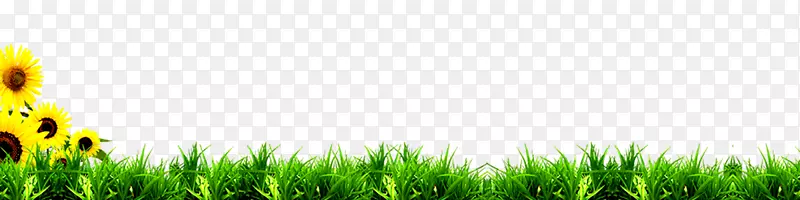 С�� ���տ�-������