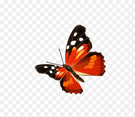 ��ͨ�ֻ����-������