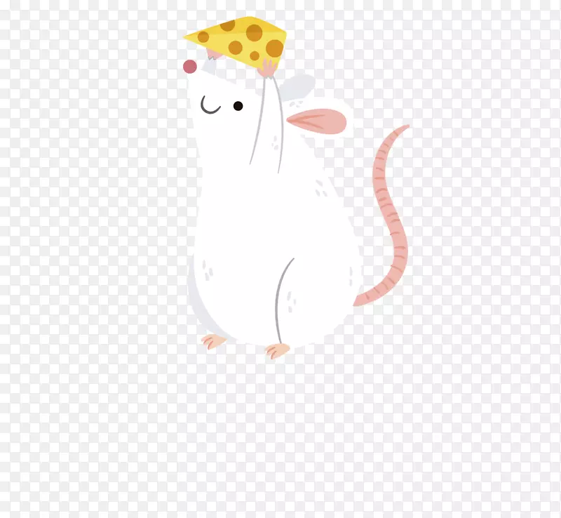 ��ͨ�ɰ�С����װ�ζ���ͷ��-������