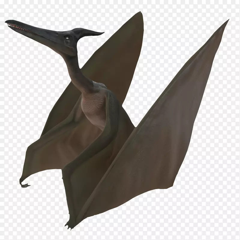 �����������-������