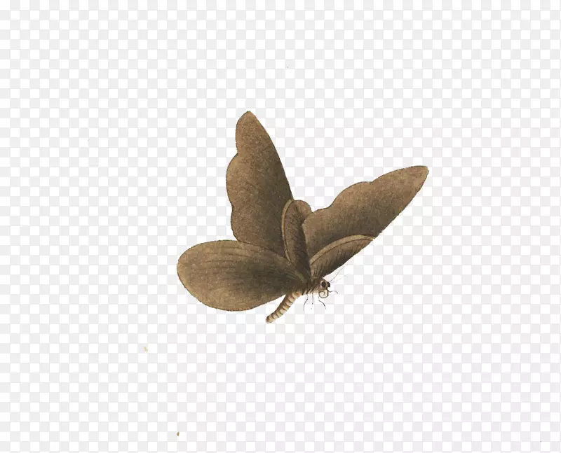 �ֻ�ɶ�-������