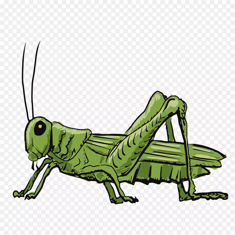 ���-������