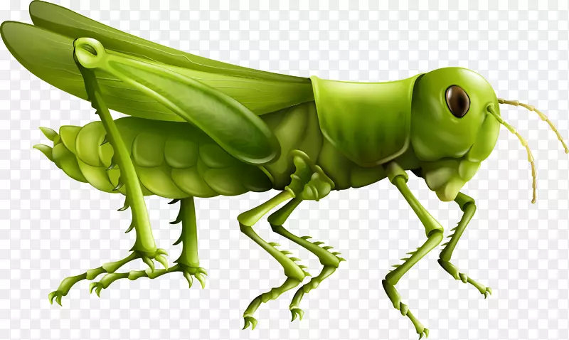 ʸ���ֻ�ȳ�-������