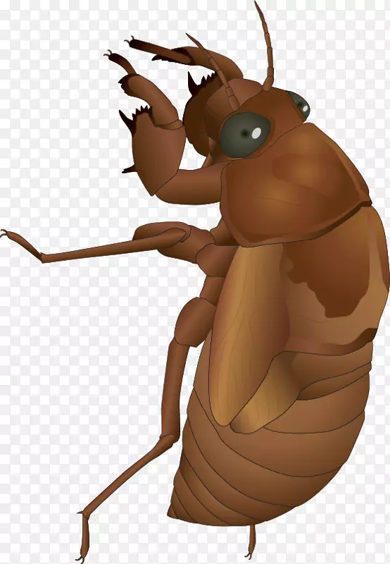 ʸ���ֻ�֪��-������