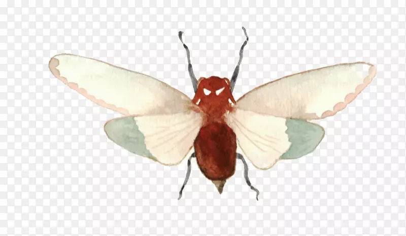 �ֻ�ˮī����-������