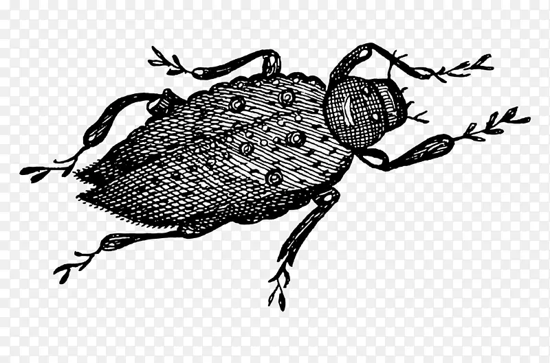 ��ɫ�ֻ��������-������