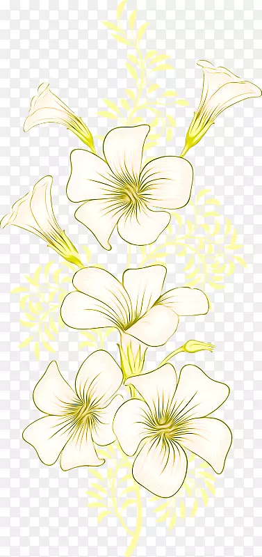 ��������л�ֲ֦�ﾥǣţ��-������